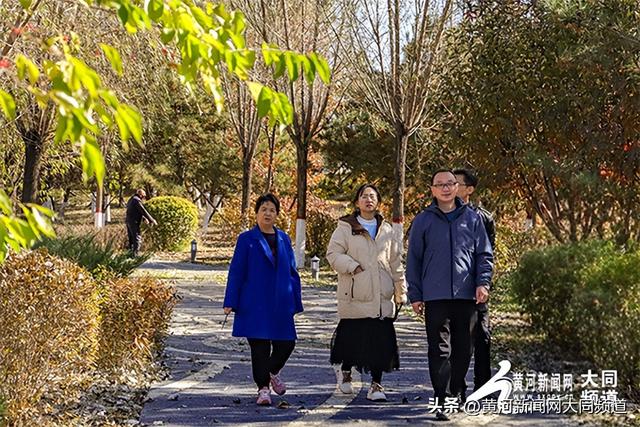 黄花公园秋意深 游客笑语映秋云