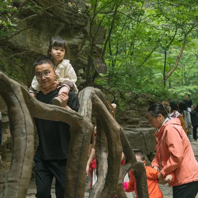 免票+ 20℃！太行山大峡谷暑假送“清凉”