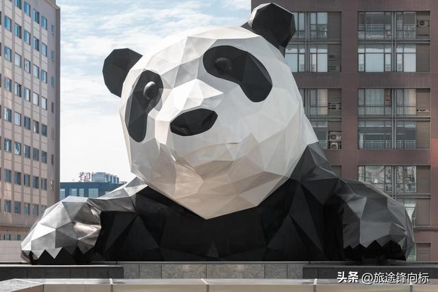 乘熊猫专列穿越四川秘境，邂逅了不被打扰的美景，解锁慢旅行真谛