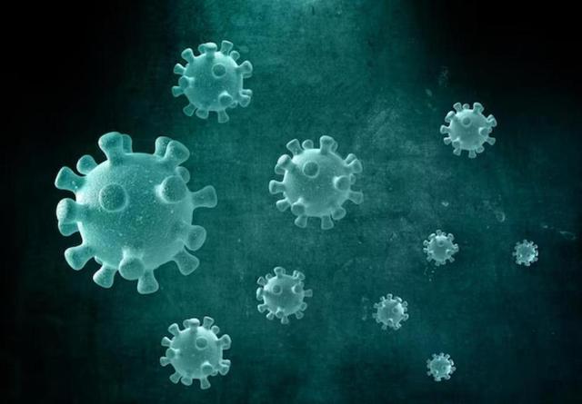 调查印度尼帕病毒病感染人士，吃惊发现：感染的人，有3大共性