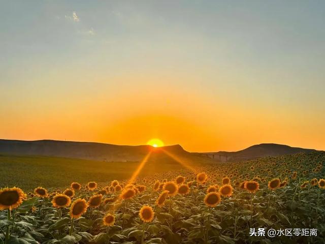 乌鲁木齐市水磨沟区——城市后花园：在石人子沟向阳谷花海乐享好时光