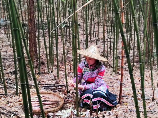 国庆兴文狂欢，玩转“一海两山” | N种玩法+3重好礼，这份攻略请收好！
