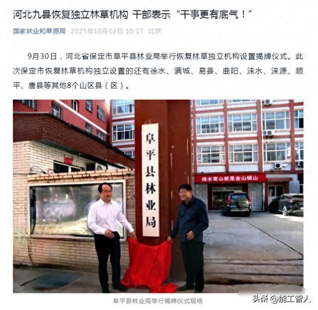 林草局回来了，基层却喊累，谁来管住那片绿？
