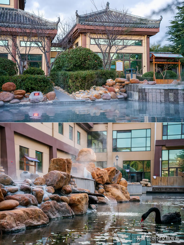 【乐游烟台】2025年冬日的第一次温泉之旅是时候提上日程啦