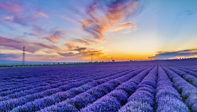 “魅力伊宁·和美杏乡”2025伊宁县文旅推介会在成都成功举办