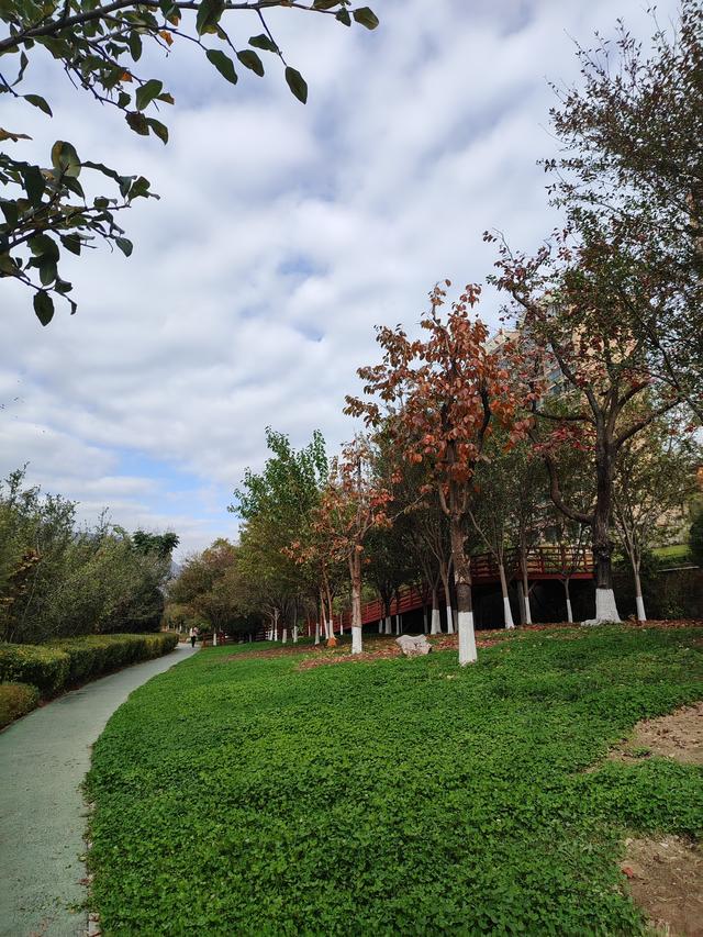 初冬韵致的公园一景