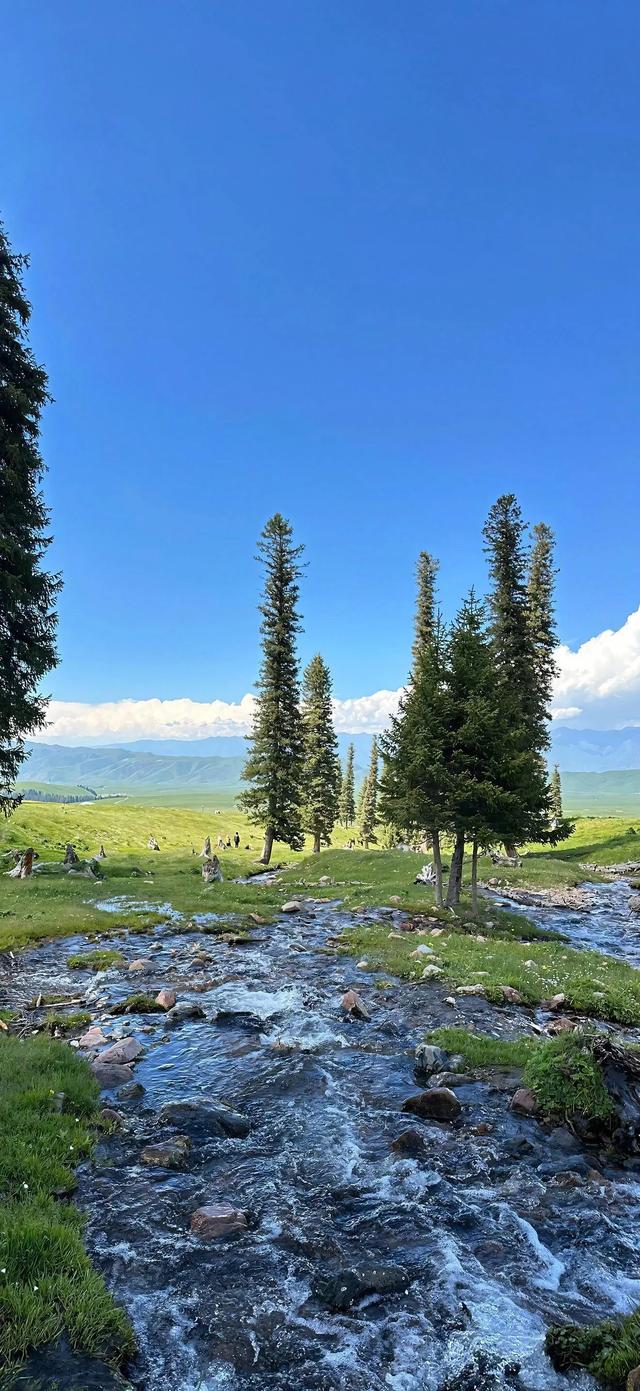 手机壁纸|清新的自然美景，风光无限