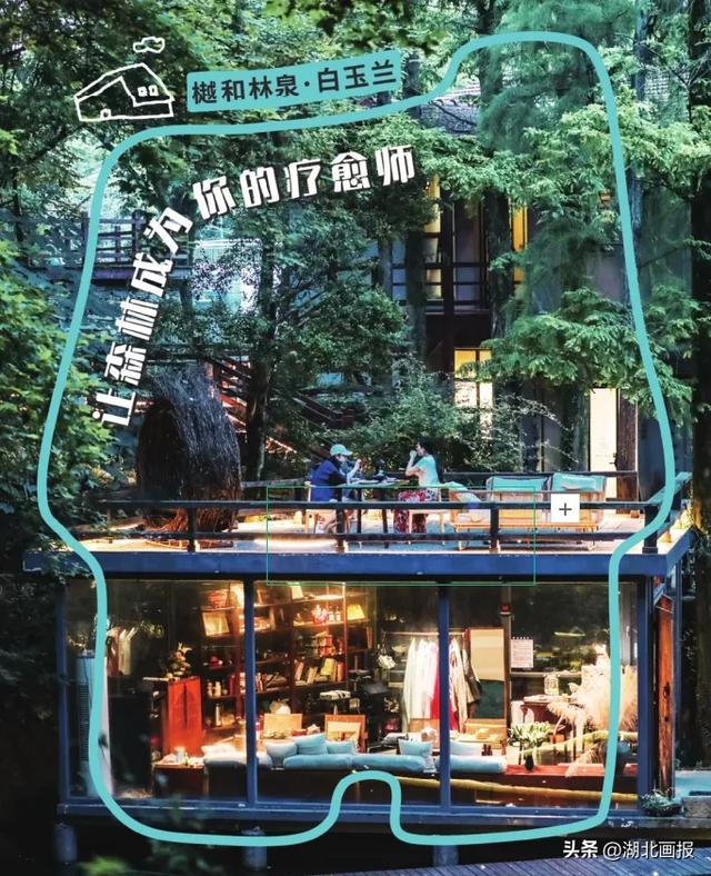 【知音湖北·魅力之城】十一不用去远方，黄陂就是好地方！