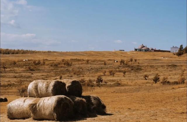 进度已达90%！呼和浩特进入全盛期！最近每天都不一样，呼市人抓紧出门