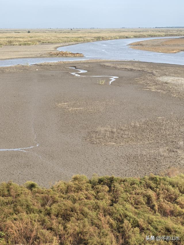 2025辽宁赏秋之旅日记(6)——到辽河口中国最北海岸线看日出 观鸟