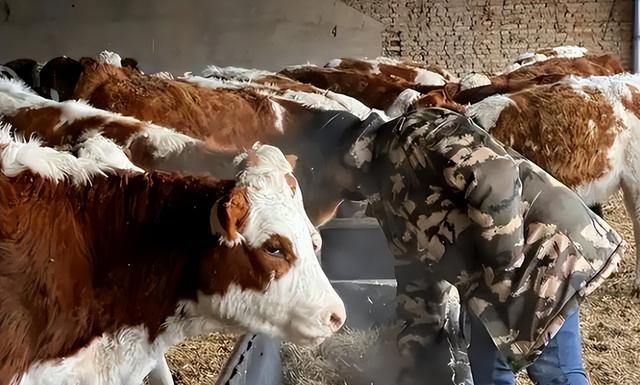 比黄金还贵！1公斤卖165万，之前在农村被当成垃圾	，为何现在暴涨