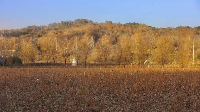 十一月，在平桥遇见一场慢时光