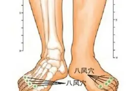 神奇八风穴，又称脚肿穴，祛风止痛主治足部疼痛的要穴，值得了解图片