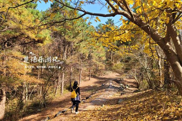 浙江宁波这两条古道堪称黄金组合，景色比油画还要美，游玩正当时