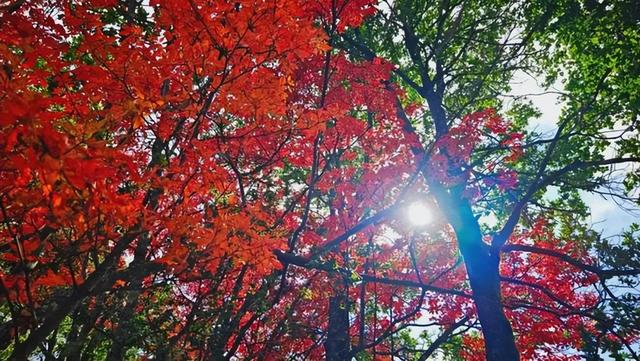 安康南宫山：五彩秋色惹人醉