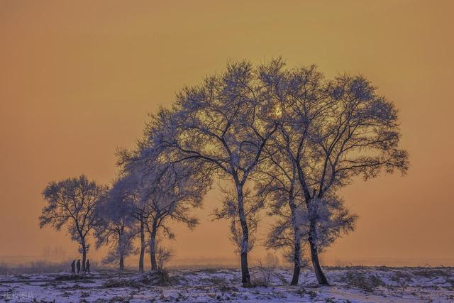 强烈建议！1 月一定要去一次雾凇岛！不愧是中国必看雾凇之一！