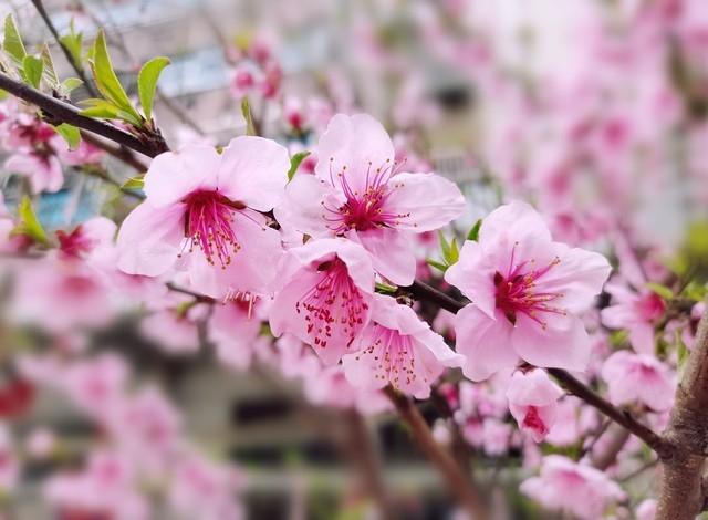 两性关系:早上起床撩一句，让异性想你好几天