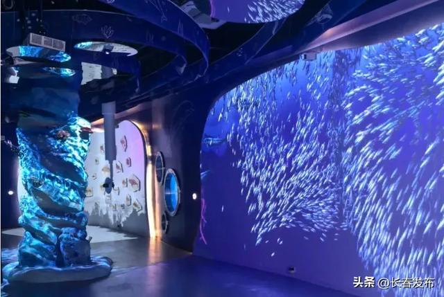 走进长春!150个网红打卡地之时空旅程(长春)人工智能科技研学体验馆