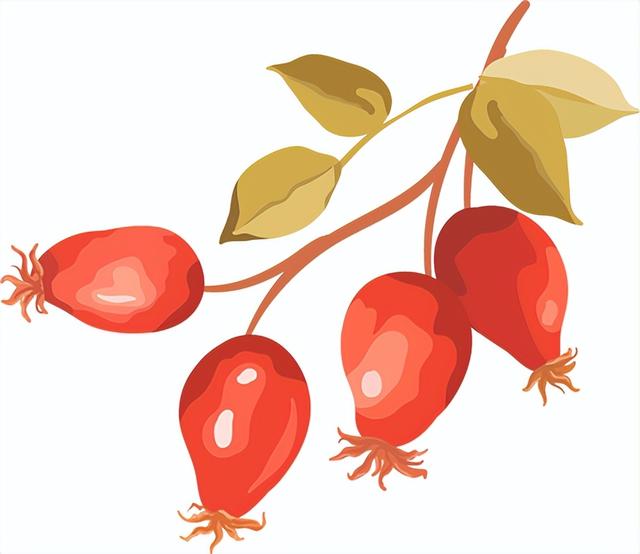 看公告！报哪里？为小伙伴们呈上一份东岸citywalk攻略