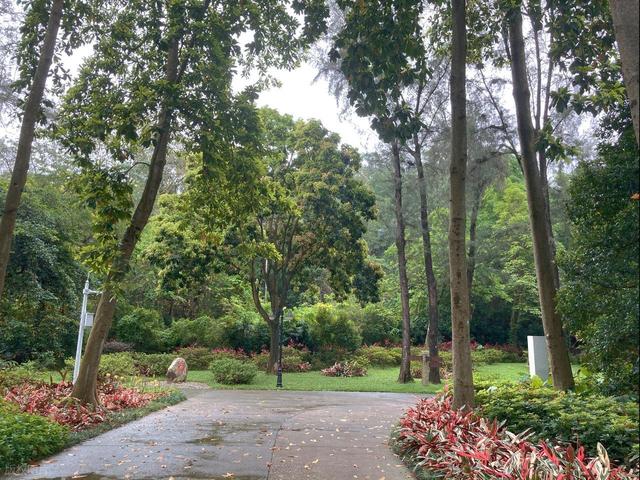 深圳最值得去的6个公园推荐！全部免费，地铁直达，好玩又好拍！