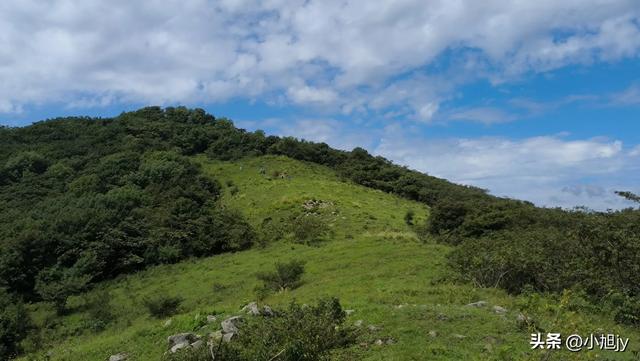 两次本溪南岭徒步记｜高山草甸，湖池松林，我被南岭种草