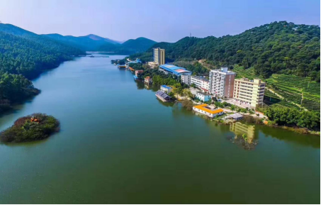 广西武鸣区历史沿革及行政区划