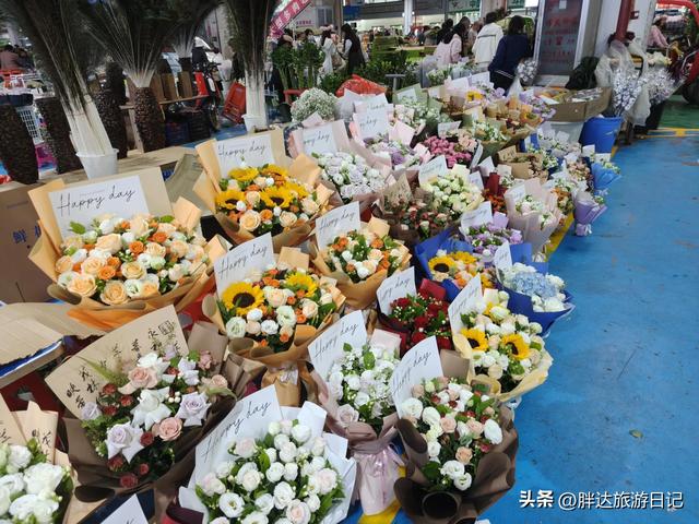 3000元玩转云南，第一天官渡古镇、云南省博物馆、斗南花卉市场