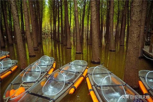 “红”爆！是谁还没有Get昆明的冬天？你知道12月的滇池有多绝？周末冲~