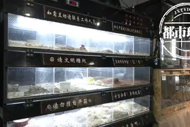 震惊！这里可以跟异宠“亲密接触”图片