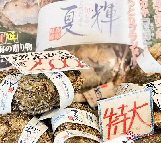 「鸟取县」夏天自驾游：景点、美食，3天2夜行程规划一次看！