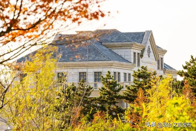 【乐游烟台】周末好去处丨任贤齐开唱+神仙秋景，烟台太好玩了