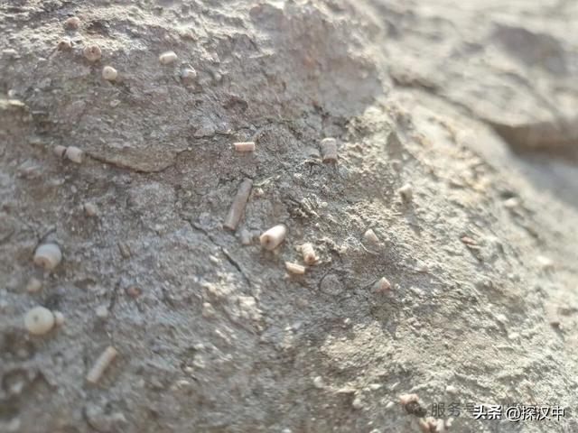 草川子冰雪季，赴一场新年石林秘境之约