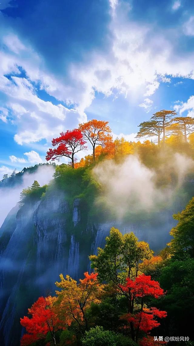 云雾若轻纱，缠绕于嶙峋石柱之间