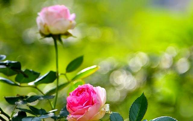 有了50万存款，让我明白更重要的东西是什么