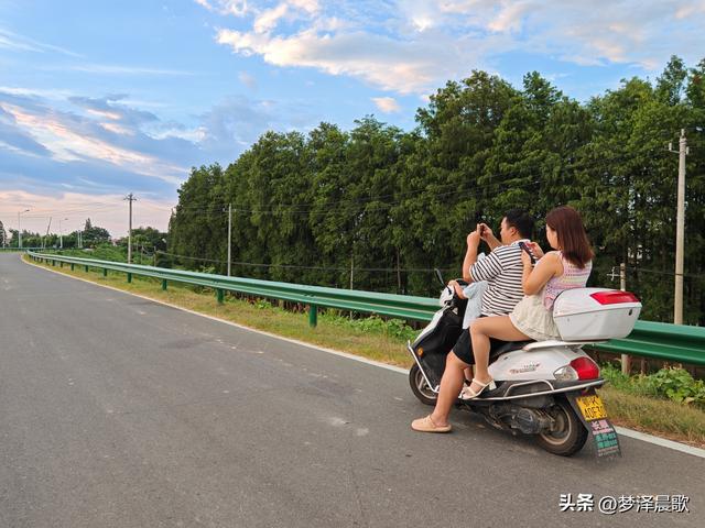 云梦：府河大堤好纳凉 城市绿廊变身"天然空调房"
