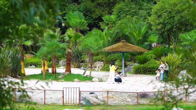 盘州市哒啦仙谷景区：清凉夏日，绿色植物园成为避暑游客热门打卡地
