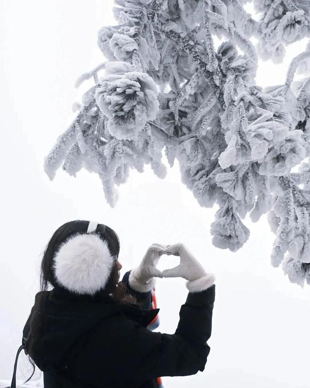 超多网红已打卡！本周末，冲进光雾山的冰雪童话世界