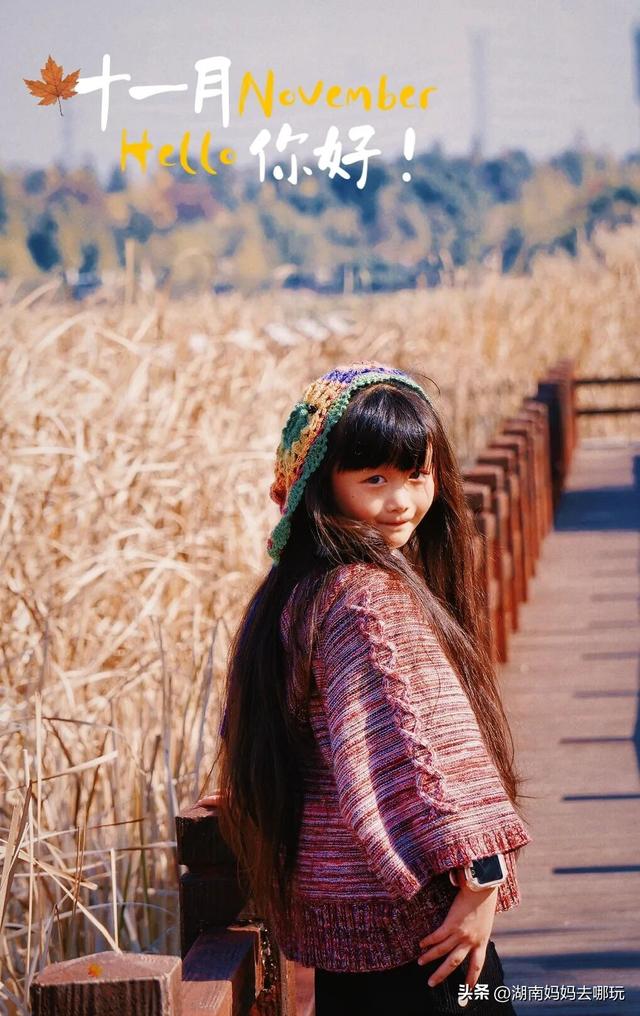 速报！这个地方银杏浓度达100%，赏芦苇、砍甘蔗，遛娃惊喜超多！