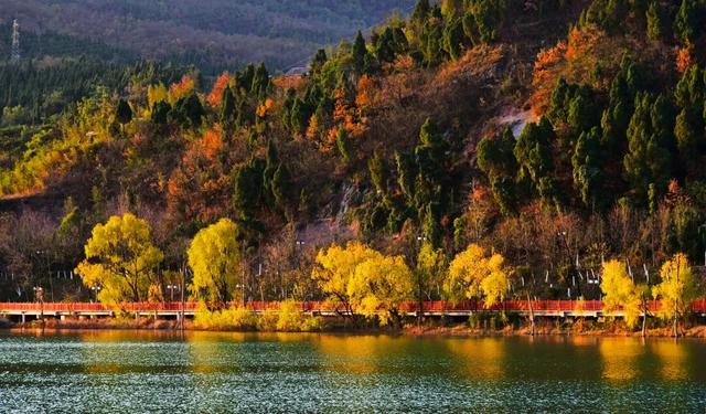 2025利州秋色，每一帧都是限定浪漫