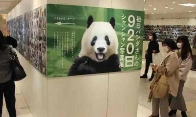 最后关头，高市政府通告中国，希望送回大熊猫，中方误判了日本？