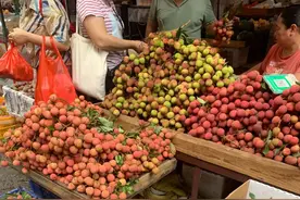 为什么每年6月都要泡荔枝酒？这是最好的回答图片