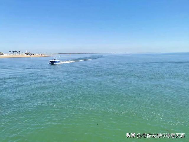 新疆博斯腾湖的大河口风光