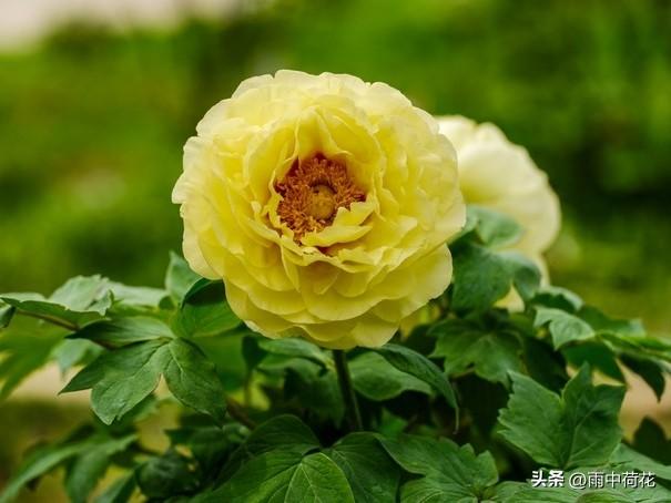 晚年苦不苦，全看七十五：这4手备好，余生安稳舒心