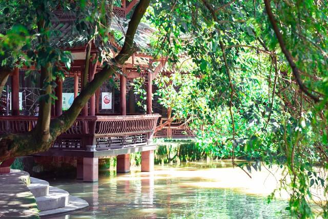 彩林、银杏、红叶...成都周边最值得去的8个景点