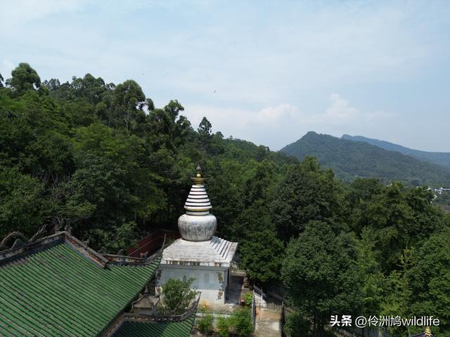 成都徒步（68）·彭州篇⑮佛山古寺&镇国寺宝塔