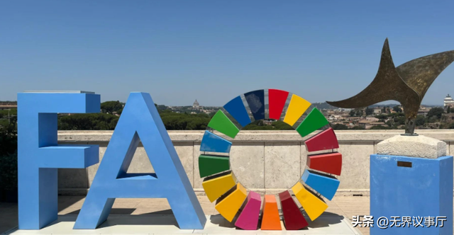 中国人吃肉蛋奶毁雨林？外媒双标玩得溜，中企护林行动证清白