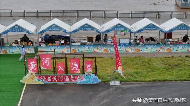 【情满双节游东营】黄河口生态旅游区游人如织，沉浸式体验国庆氛围