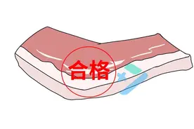 猪身上「最脏」的这个部位，病菌毒素遍布！千万不要吃……图片