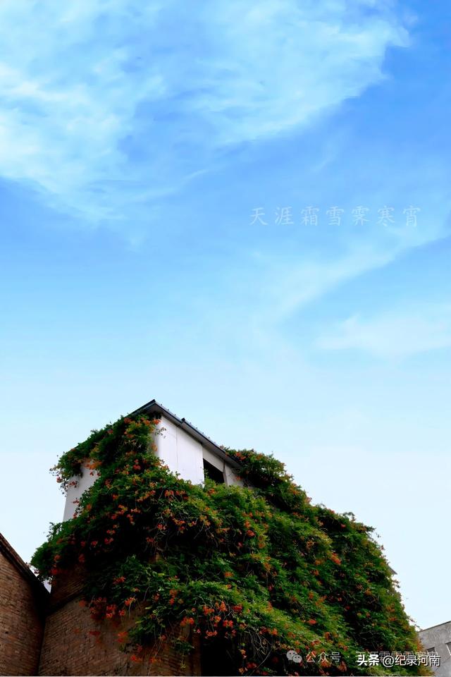 商丘电厂家属院
