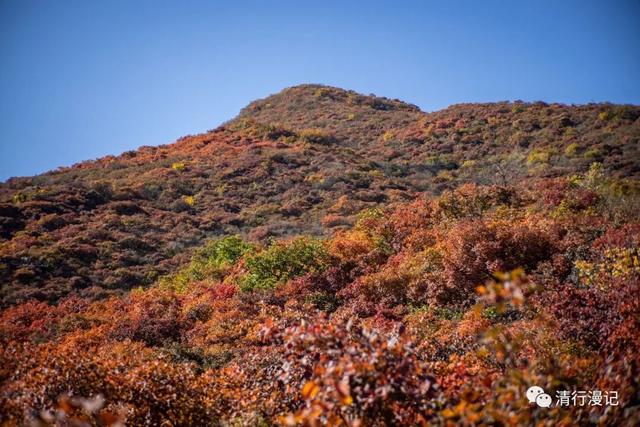京郊游之坡峰岭